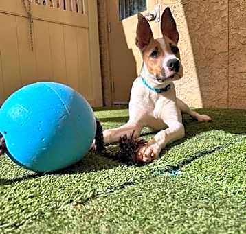 Photo of Moxie