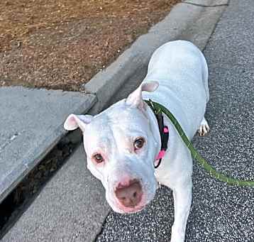 Photo of Chloe