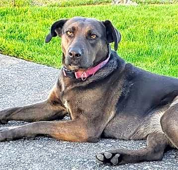 Photo of Rhea Sunshine