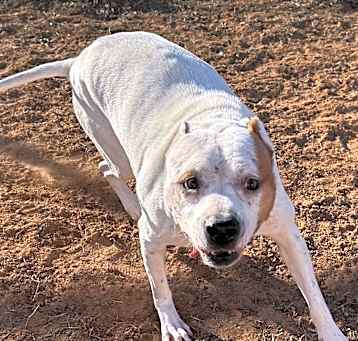 Photo of Sookie