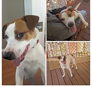 Photo of Abby