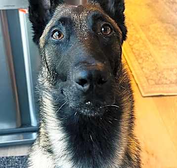 Photo of Keela