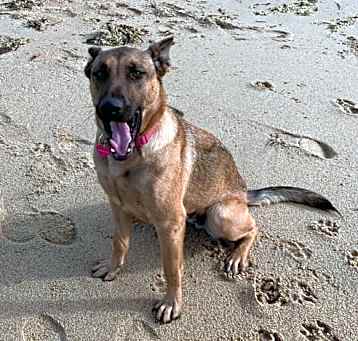 Photo of Blossom
