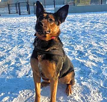 Photo of Cassie