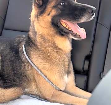 Photo of Esme