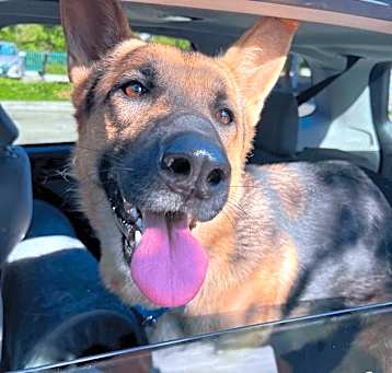 Photo of Max