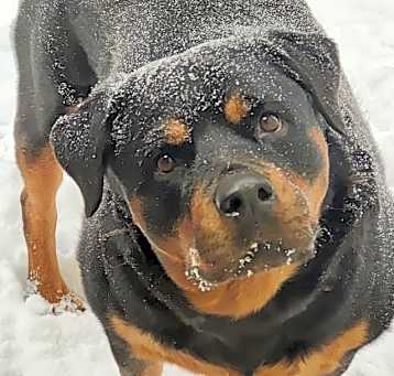 Photo of Zailey