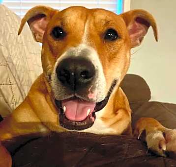 Photo of Bagel