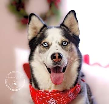 Photo of Ares