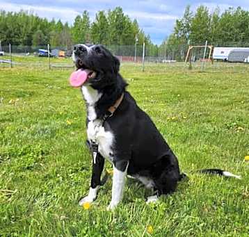 Photo of Bella