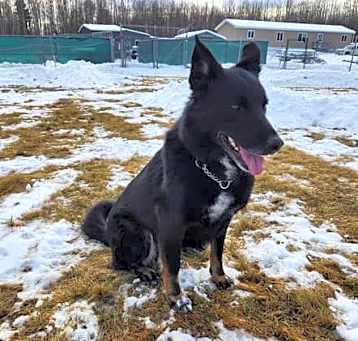 Photo of Whiskey
