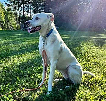Photo of Dotty