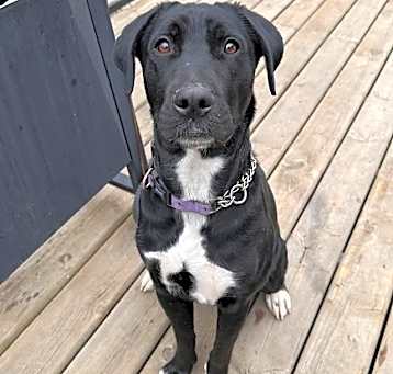 Photo of Roo