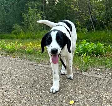 Photo of Nelly
