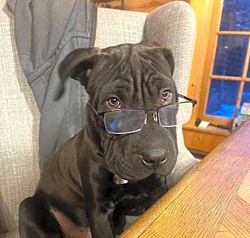 Photo of Hamish