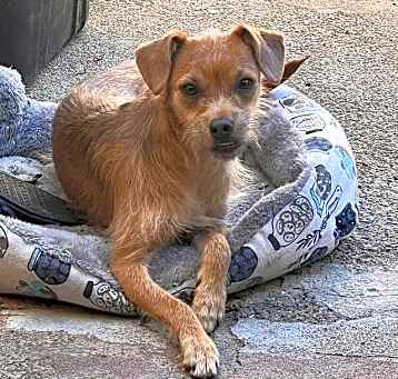 Photo of Sugar