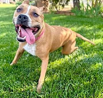 Photo of Baby (BLIND)