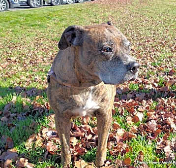 Photo of Charm