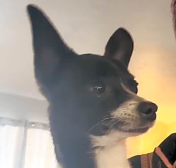 Photo of Ted