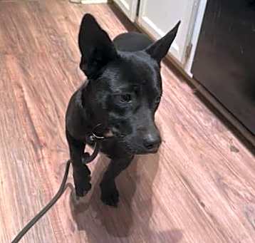Photo of Bobby