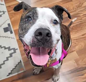 Photo of Betsy Lou