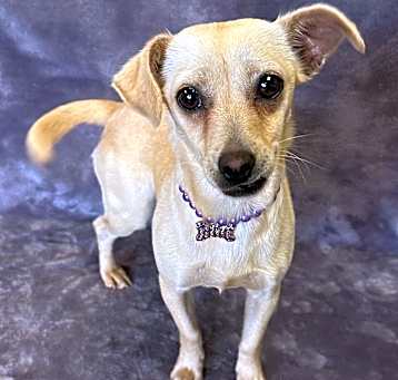 Photo of Chloe