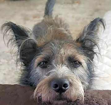 Photo of Sundance Kid