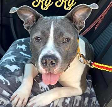 Photo of Ky Ky