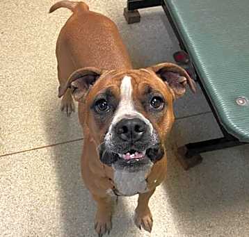 Photo of Roxie