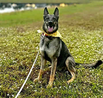 Photo of Sasha