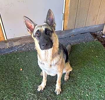 Photo of Lena