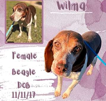 Photo of Wilma