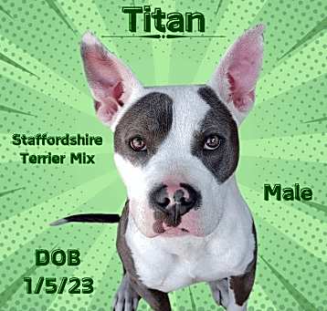 Photo of Titan