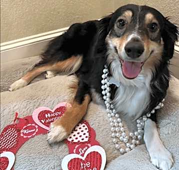 Photo of Roxy Rose