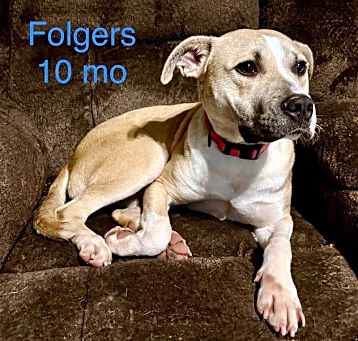 Photo of Folgers