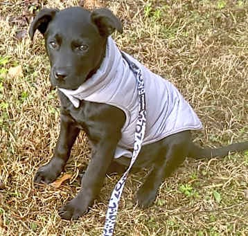 Photo of Sally as