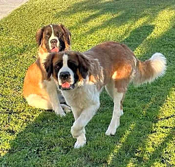 Photo of Lily & Maggie