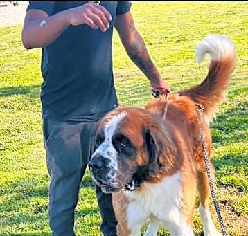 Photo of Sully