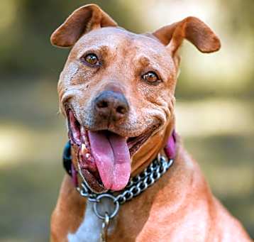 Photo of Betty