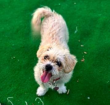 Photo of Thelma