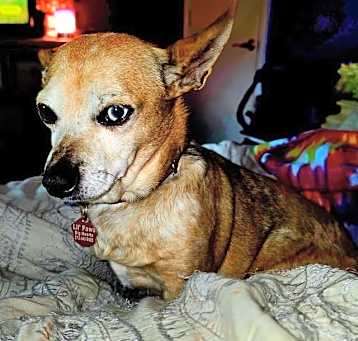 Photo of Tyrion