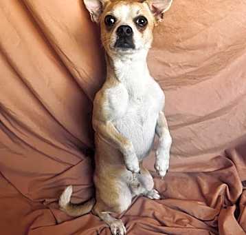 Photo of Mr. Prince