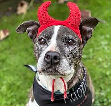 Photo of Sammie