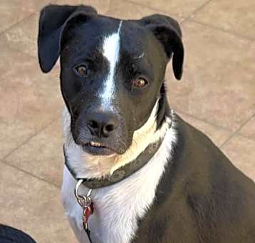 Photo of Monty