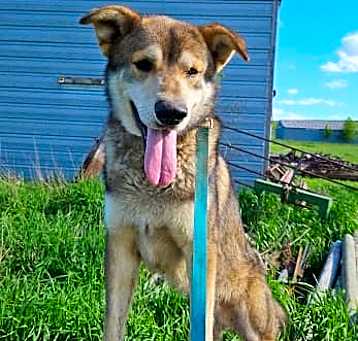 Photo of Thor