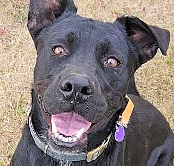 Photo of Duke