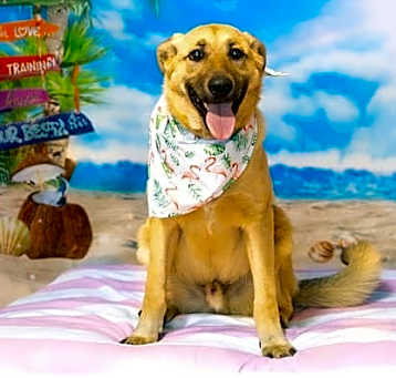 Photo of Chase