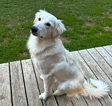 Photo of Charlie Handsome SAT