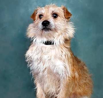 Photo of Chuck