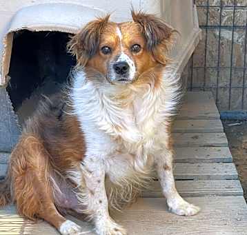 Photo of Walker
